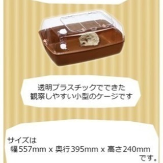 ハリネズミ  飼育セット