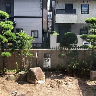 植木 売ります