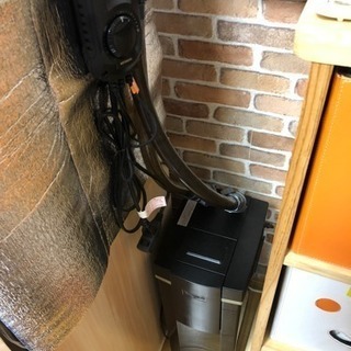 値下げ交渉歓迎 120 アクリル水槽 アフリカンシクリッド多数