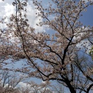 気楽に遊べるサークル仲間募集！