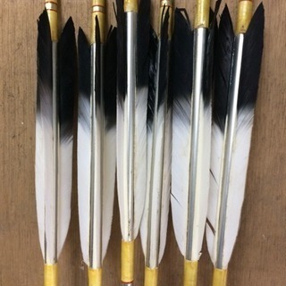 弓道 矢 6本＋ケース | aucklandnightmarkets.co.nz