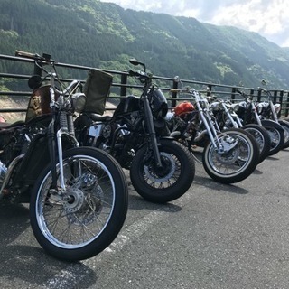 国産アメリカン メンバー募集 ジモティー