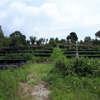 草刈り一緒にしていただける方いませんか？(和歌山県橋本市隅田町で)