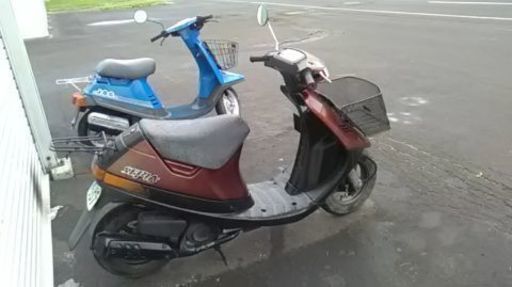 スズキセピア50