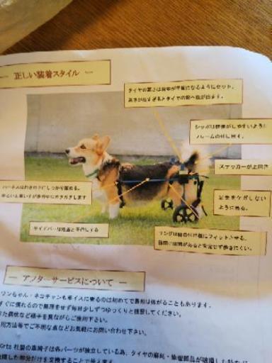 コーギー用車いす☆アメリカ製K9carts