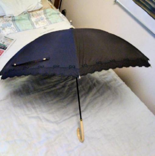 お洒落な黒の日傘 ホーさん 平塚のその他の中古 古着あげます 譲ります ジモティーで不用品の処分