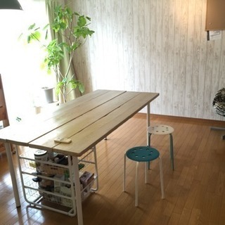 ウンベラータ 観葉植物 2メートル