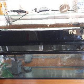 水槽　1200　熱帯魚　アロワナ