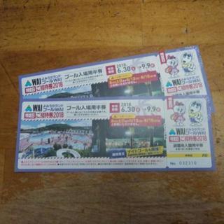 よみうりランドプールWAI入場券２枚¥3000