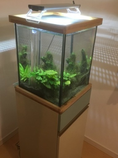 オーバーフロー水槽 一式