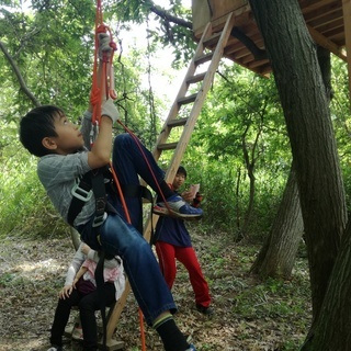 木登り　～ロープクライミング～の画像