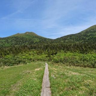 7月14日八甲田山へ登山しませんか？
