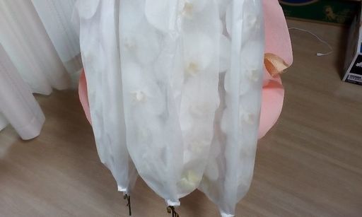 胡蝶蘭