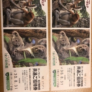 決まりました。ズーラシア・金沢動物園 