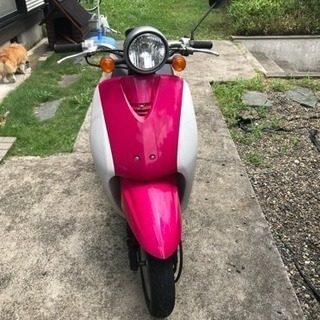 トゥデイ50cc