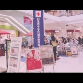 栃木県内でのボランティア活動