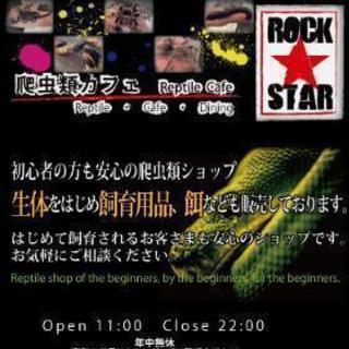大阪府の爬虫類 メンバー募集 ジモティー