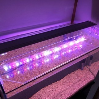 60センチ水槽セット 値下げ