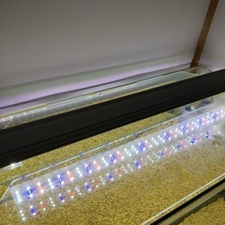 60センチ水槽セット 値下げ