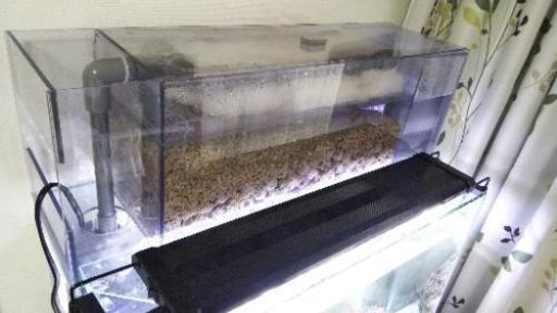 60センチ縁なし水槽セット