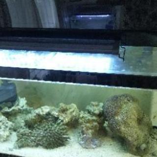 90アクリル水槽セット