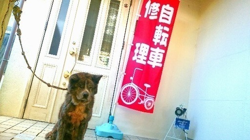 【点検・整備万全】美品✨折り畳み16インチ自転車
