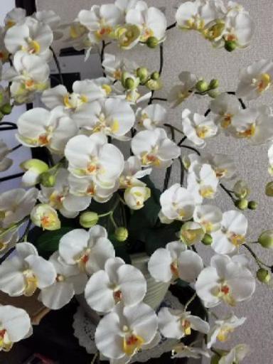 胡蝶蘭　造花