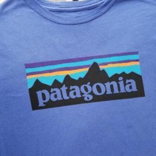 patagonia Tシャツ