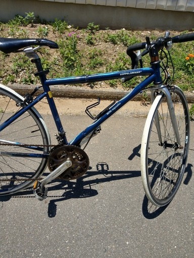 ドッペルギャンガー806 SQUALO 送料込み価格 ビーズ DOPPELGANGER 806 squalo 価格比較 - 価格.com