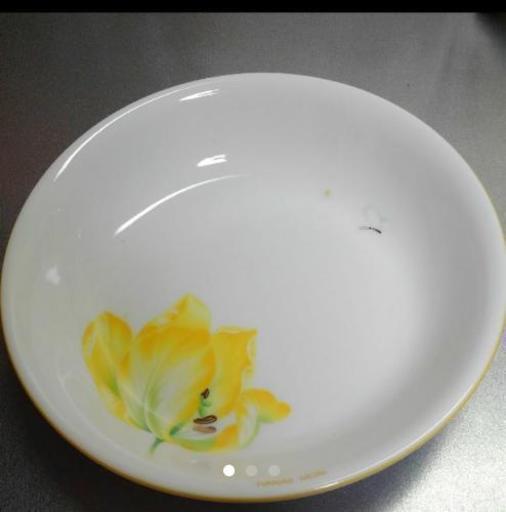 ハナエモリ　カレー皿