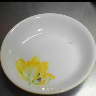 ハナエモリ　カレー皿