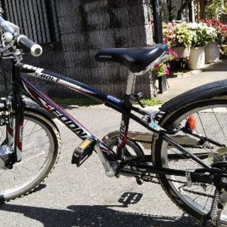 子供用自転車 20インチ