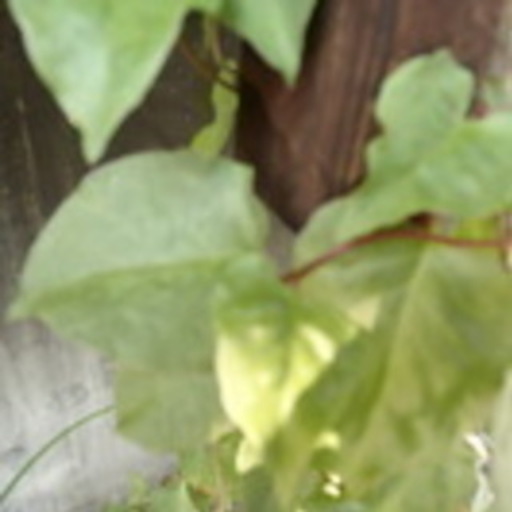 郵送 スーパー野菜 ツルムラサキ科 オカワカメのムカゴ 別名 雲南百薬 雲龍菜 アカザカズラ ぬるっぱ Minakin 堺の家庭用品 ガーデニング の中古あげます 譲ります ジモティーで不用品の処分 郵送 スーパー野菜 ツルムラサキ科 オカワカメのムカゴ 別名 雲南百薬 雲龍菜 アカザカズラ ぬるっぱ Minakin 堺の家庭用品 ガーデニング の中古あげます 譲ります ジモティーで不用品の処分