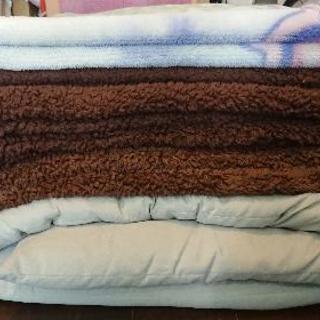毛布と布団！引っ越しに使いました。