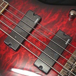 シェクター(Schecter) ５弦ベース AD-SL-EL5-EXT/BCH 【エレキベース】