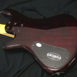 シェクター(Schecter) ５弦ベース AD-SL-EL5-EXT/BCH 【エレキベース】