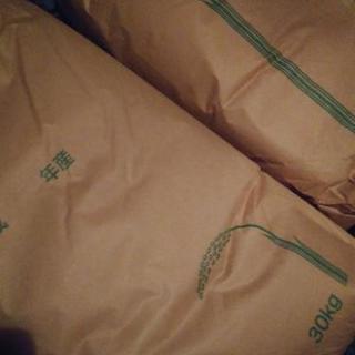 ２９年　コシヒカリ　玄米　１袋(３０キロ)
