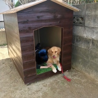 犬小屋