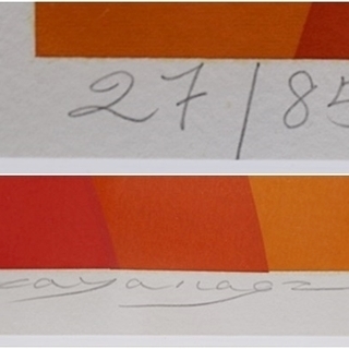 矢柳 剛　地球家族 シルクスクリーン　1981年　サイン入り　矢柳剛　額サイズ　90.5cm×70.5cm