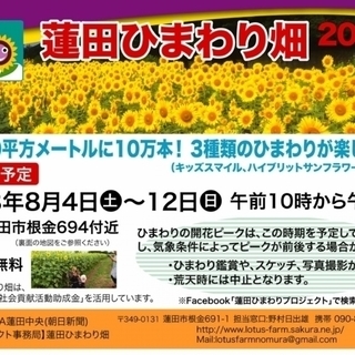 蓮田ひまわり畑1万㎡10万本！8月4-12日開催