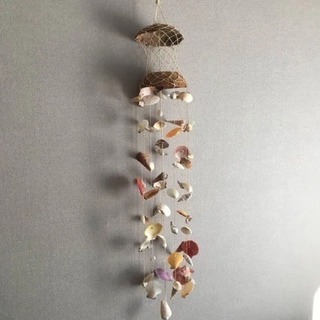 貝殻の飾り