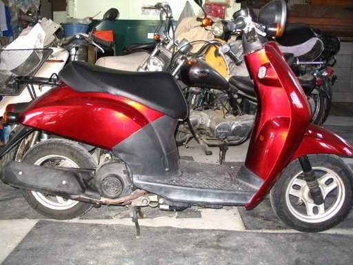 HONDA AF61 TODAY　商談中