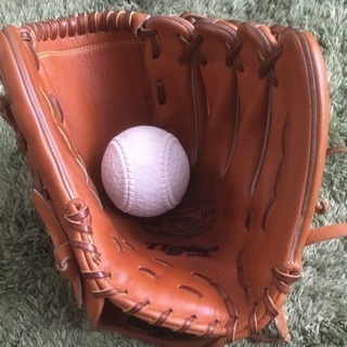 グローブ２個セット