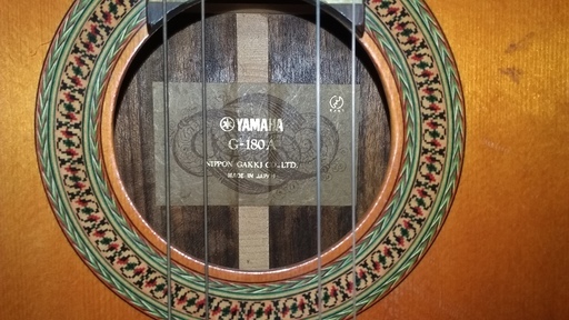 TERMINATOR BY SYNSINICS スピーカー内蔵エレキギター 美品！