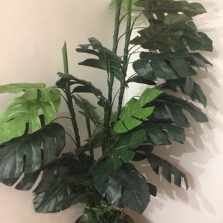 観葉植物 フェイク お取引中