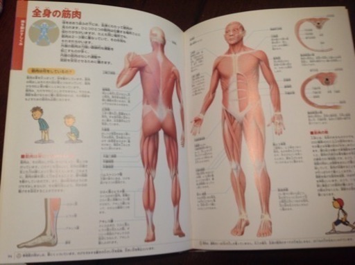 小学館の図鑑 Neo 人間 Mumlooc 横浜のその他の中古あげます 譲ります ジモティーで不用品の処分 小学館の図鑑 Neo 人間 Mumlooc 横浜のその他の中古あげます 譲ります ジモティーで不用品の処分