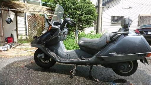 フュージョン 初期 2オーナー