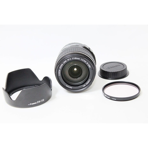 canon EFS 17-85mm 1:4-5.6 IS USM レンズ | diyfishblogs.com
