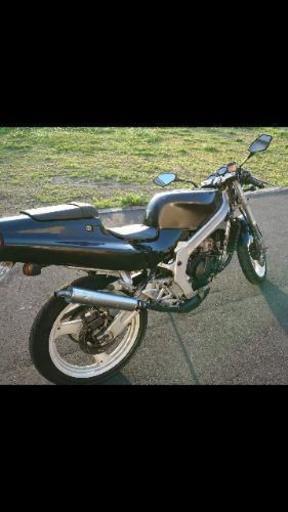 【引き取りのみ】SUZUKI_RG125ガンマ！実働！ネイキッド_ウルフ仕様？バーハン化_2スト_ウルフ125_WOLF125_γ_Γ_ガンマ125_NF13A 1□SUZUKI RG125Γ□NF11F□NF11A□MICRON Expansion Chamber□スズキ