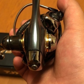 13セルテート2004ch